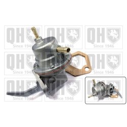 Fuel Pump QUINTON HAZELL QFP43 OE Ref 25061476