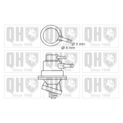 Fuel Pump QUINTON HAZELL QFP508 OE Ref 13311272406
