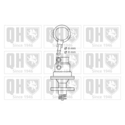Fuel Pump QUINTON HAZELL QFP530 OE Ref 0020914001 QUINTON HAZELL
