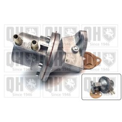 Fuel Pump QUINTON HAZELL QFP531 OE Ref 025127025