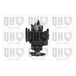 Fuel Pump QUINTON HAZELL QFP619 OE Ref 16141180316