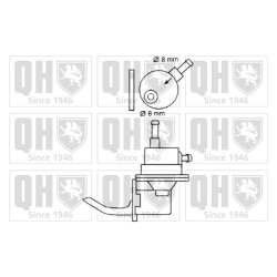 Fuel Pump QUINTON HAZELL QFP65 OE Ref 25061509
