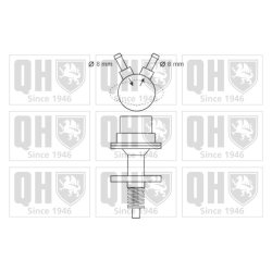 Fuel Pump QUINTON HAZELL QFP69 OE Ref 816045 QUINTON HAZELL