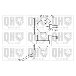 Fuel Pump QUINTON HAZELL QFP8 OE Ref 4251447 QUINTON HAZELL