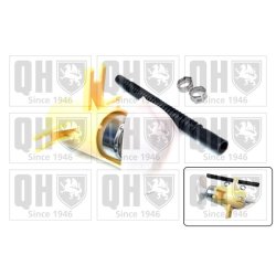 Fuel Pump QUINTON HAZELL QFP822 OE Ref 16141184276