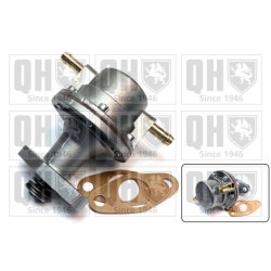 Fuel Pump QUINTON HAZELL QFP87 OE Ref 6038859