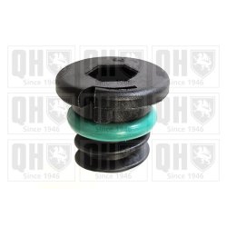 Oil Sump Screw Plug QUINTON HAZELL QOC1004 OE Ref 95810380100