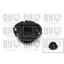 Oil Sump Screw Plug QUINTON HAZELL QOC1006 OE Ref 11137605018