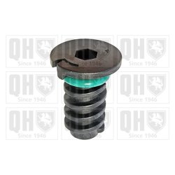 Oil Sump Screw Plug QUINTON HAZELL QOC1013 OE Ref 0029902017