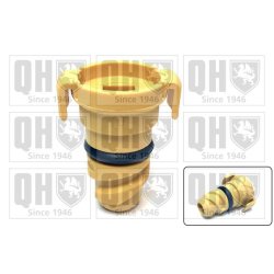 Oil Sump Screw Plug QUINTON HAZELL QOC1036 OE Ref 1830727