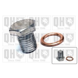 Oil Sump Screw Plug QUINTON HAZELL QOC1038 OE Ref 07119963132