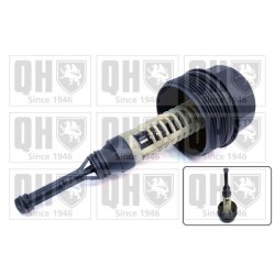 Oil Filter Housing Cap QUINTON HAZELL QOC1039 OE Ref 6111800210