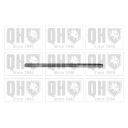 Wheel Alignment Bolt QUINTON HAZELL QR3081S OE Ref 3812A0