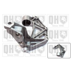 Control Trailing Arm Mounting QUINTON HAZELL QSJ3683S OE Ref 6Q0199294D QUINTON HAZELL