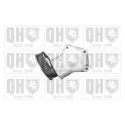 Vribbed Belt Tensioner Lever QUINTON HAZELL QTA1034 OE Ref 1004481
