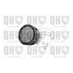 Vribbed Belt Tensioner Pulley QUINTON HAZELL QTA1064 OE Ref 64552245584