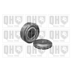 Vribbed Belt Tensioner Pulley QUINTON HAZELL QTA1073 OE Ref 059260523A