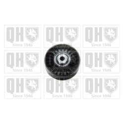 Vribbed Belt Deflection Guide Pulley QUINTON HAZELL QTA1112 OE Ref 46454419