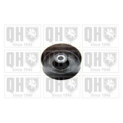 Vribbed Belt Tensioner Pulley QUINTON HAZELL QTA1202 OE Ref 1112000070
