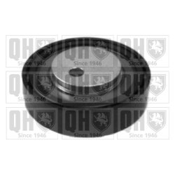 Vribbed Belt Tensioner Pulley QUINTON HAZELL QTA1254 OE Ref 500393575