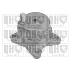 Vribbed Belt Tensioner Lever QUINTON HAZELL QTA1318 OE Ref 1042000870