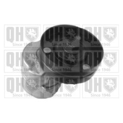 Vribbed Belt Tensioner Lever QUINTON HAZELL QTA1344 OE Ref 9146249