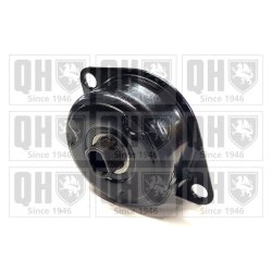 Vribbed Belt Tensioner Pulley QUINTON HAZELL QTA1477 OE Ref 028903315P