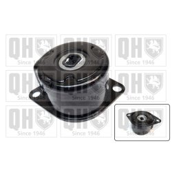 Vribbed Belt Tensioner Pulley QUINTON HAZELL QTA1566 OE Ref 044903315C