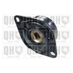 Vribbed Belt Tensioner Pulley QUINTON HAZELL QTA1601 OE Ref 047903315