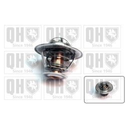 Coolant Thermostat QUINTON HAZELL QTH120 OE Ref 60504230