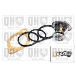 Coolant Thermostat QUINTON HAZELL QTH313K OE Ref ERT143