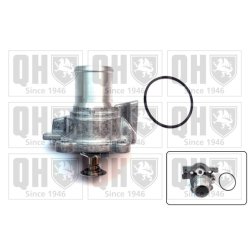 Coolant Thermostat QUINTON HAZELL QTH687K OE Ref 504017209