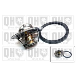 Coolant Thermostat QUINTON HAZELL QTH925K OE Ref 255002A100