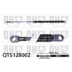 Cargo Area Gas Spring QUINTON HAZELL QTS128002 OE Ref 4392120