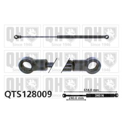 Cargo Area Gas Spring QUINTON HAZELL QTS128009 OE Ref 6032365