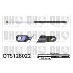 Cargo Area Gas Spring QUINTON HAZELL QTS128022