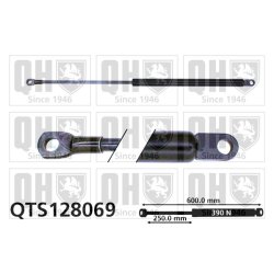 Cargo Area Gas Spring QUINTON HAZELL QTS128069 OE Ref 022526200A
