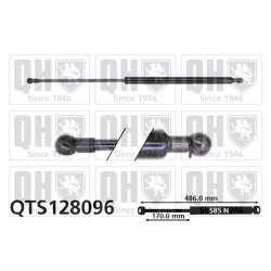Cargo Area Gas Spring QUINTON HAZELL QTS128096 OE Ref 7700772568