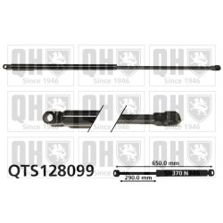 Cargo Area Gas Spring QUINTON HAZELL QTS128099 OE Ref 9563598980