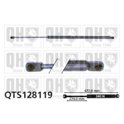 Cargo Area Gas Spring QUINTON HAZELL QTS128119 OE Ref 7700795698