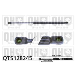 Cargo Area Gas Spring QUINTON HAZELL QTS128245 OE Ref 873183