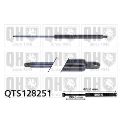 Cargo Area Gas Spring QUINTON HAZELL QTS128251 OE Ref 1254916
