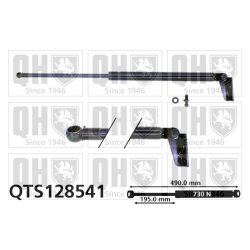 Cargo Area Gas Spring QUINTON HAZELL QTS128541 OE Ref 8AG163620