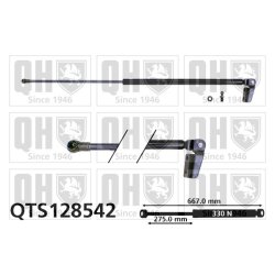 Cargo Area Gas Spring QUINTON HAZELL QTS128542 OE Ref B1287F26