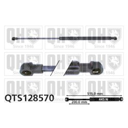 Cargo Area Gas Spring QUINTON HAZELL QTS128570 OE Ref BHE14001