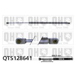 Cargo Area Gas Spring QUINTON HAZELL QTS128641 OE Ref 6001010706