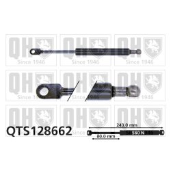 Rear Window Gas Spring QUINTON HAZELL QTS128662 OE Ref 51248190688