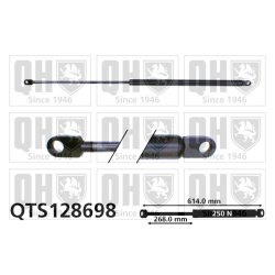 Bonnet Gas Spring QUINTON HAZELL QTS128698 OE Ref 60558222