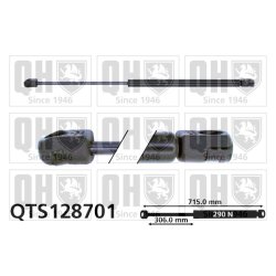 Bonnet Gas Spring QUINTON HAZELL QTS128701 OE Ref 8H0823359