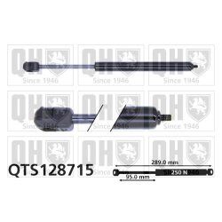 Rear Window Gas Spring QUINTON HAZELL QTS128715 OE Ref 8731F7